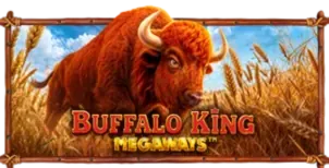 ภาพเกม Buffalo King Megaways ที่ dragonking999 รวบรวมไว้